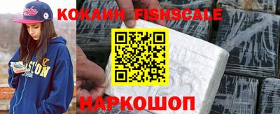 индика Новодвинск