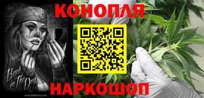 прущий лед Новозыбков