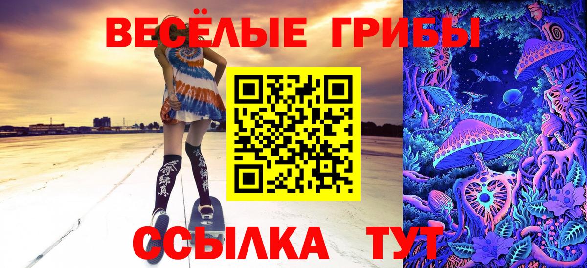 Галлюциногенные грибы MAGIC MUSHROOMS Советск
