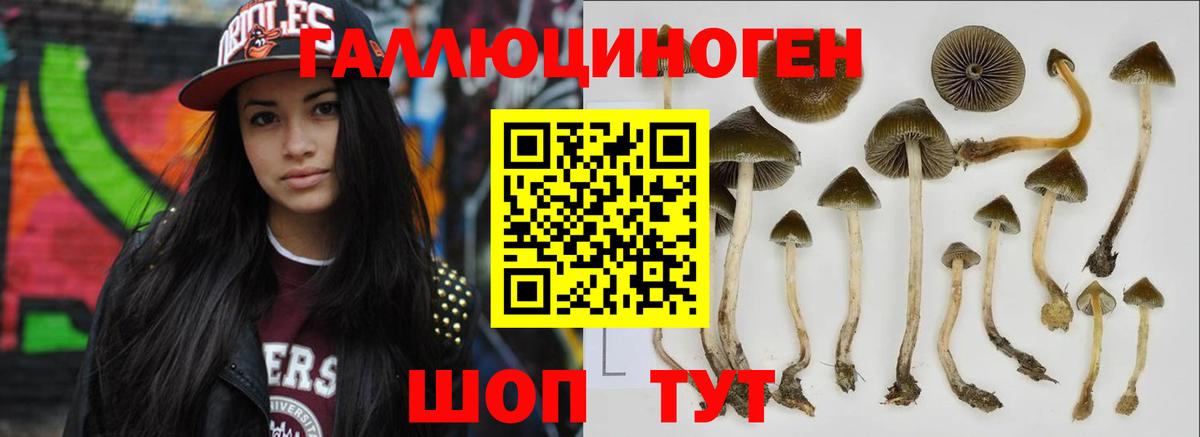 Галлюциногенные грибы Cubensis  Вход с VPN  Псилоцибиновые грибы мухоморы  Советск 